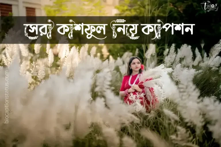 কাশফুল নিয়ে ক্যাপশন - kashful caption