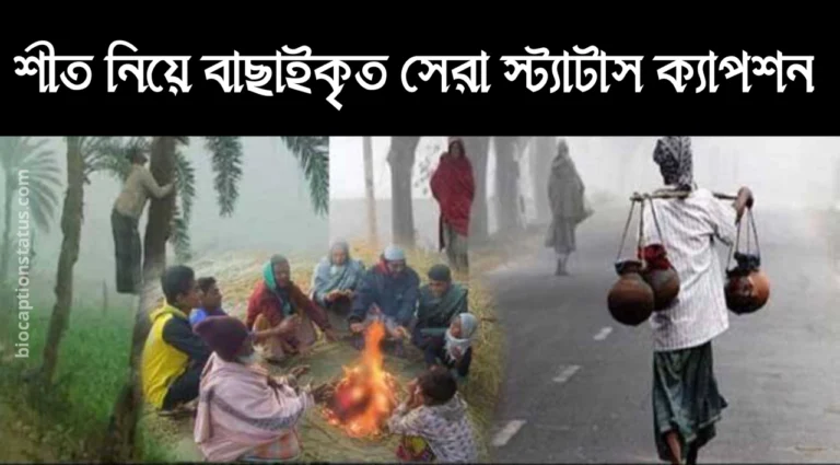 শীত নিয়ে স্ট্যাটাস | শীত নিয়ে রোমান্টিক স্ট্যাটাস | শীত নিয়ে মজার ক্যাপশন