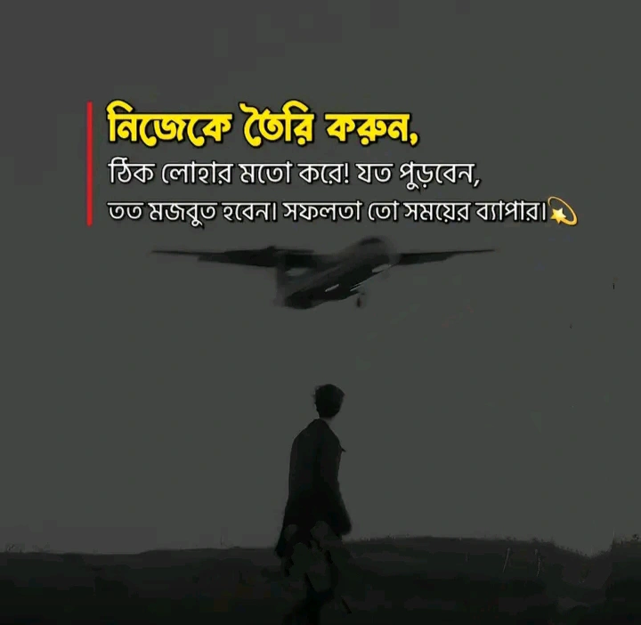 সফলতা নিয়ে স্ট্যাটাস - সফলতা নিয়ে উক্তি, ক্যাপশন