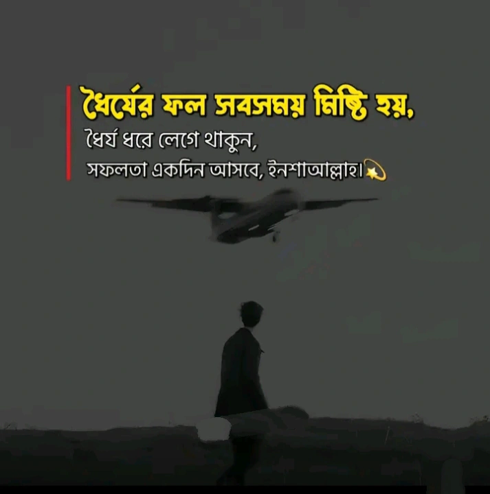 সফলতা নিয়ে স্ট্যাটাস