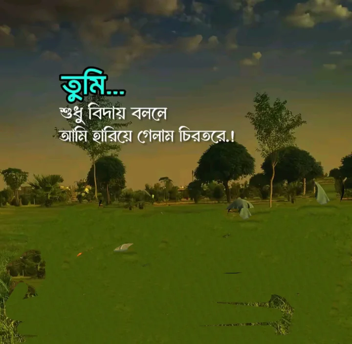 বিচ্ছেদের পর না বলা ভালোবাসার স্ট্যাটাস
